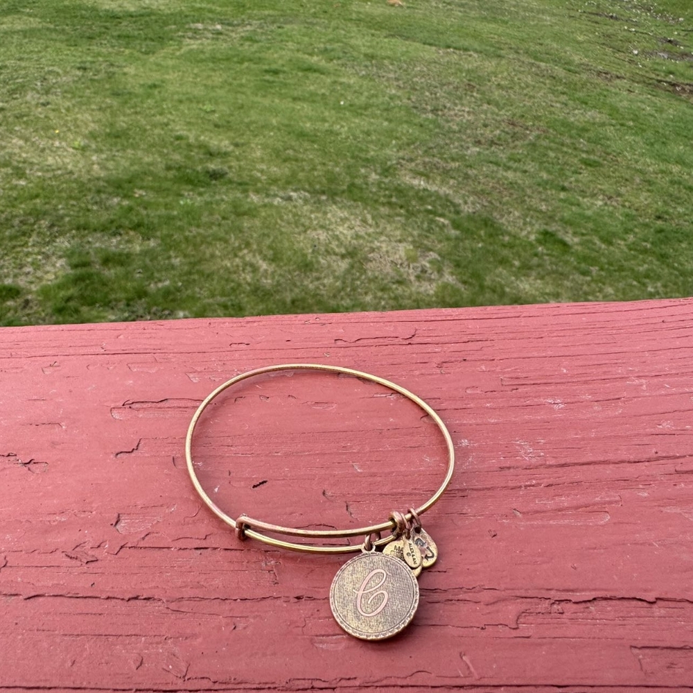 ALEX AND ANI BRACELET "C"